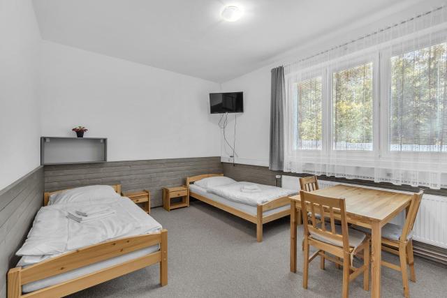 Apartmány a ubytování Přemyslova, Hradec Králové