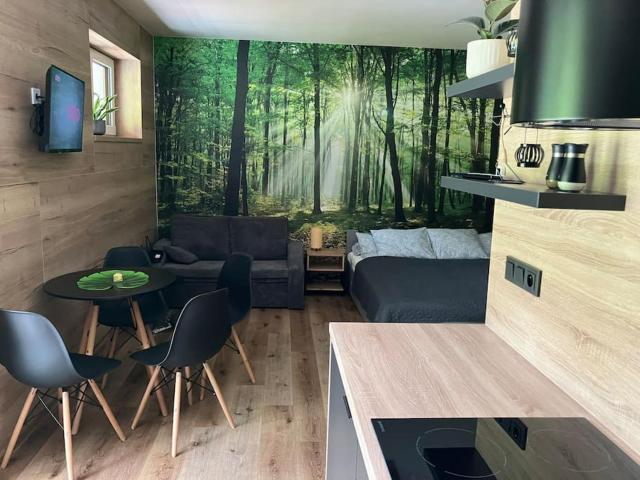 Apartmán Vrbno pod Pradědem