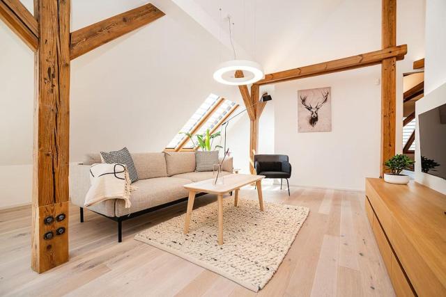 Fantastic Attic Apt with big Terrace