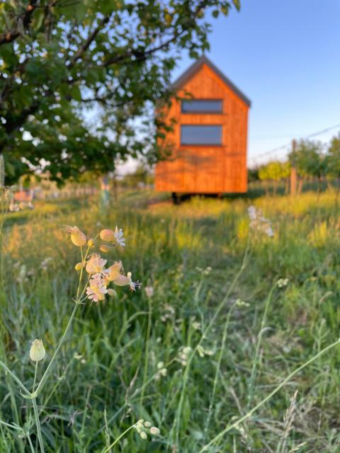 Tiny house Pálava