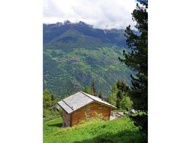 Chalet with bubble bath in Les Collons