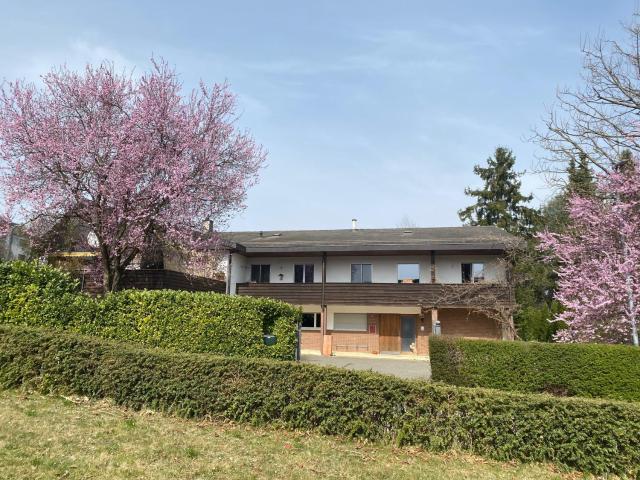 Apartments in Leafy Suburb