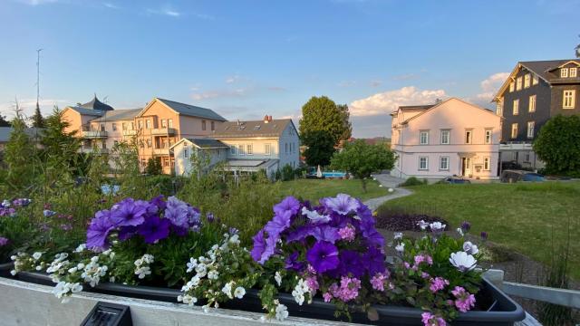 Ferienhäuschen Gartenblick