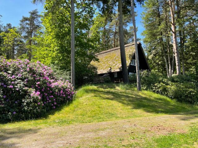 Ferienhaus mit Teich auf 16.000m² in der Natur