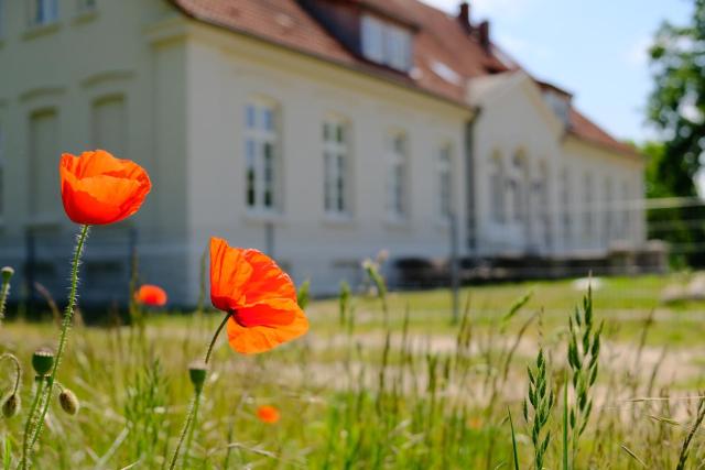 Gutshaus FeWo Warnemünde