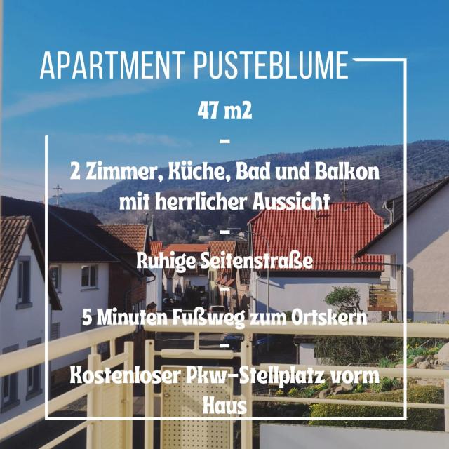 Apartment Pusteblume mit Balkon, neu teilrenoviert