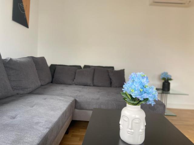 Luxury apartment with air conditioning & Jaccuzzi near Frankfurt Wiesbaden