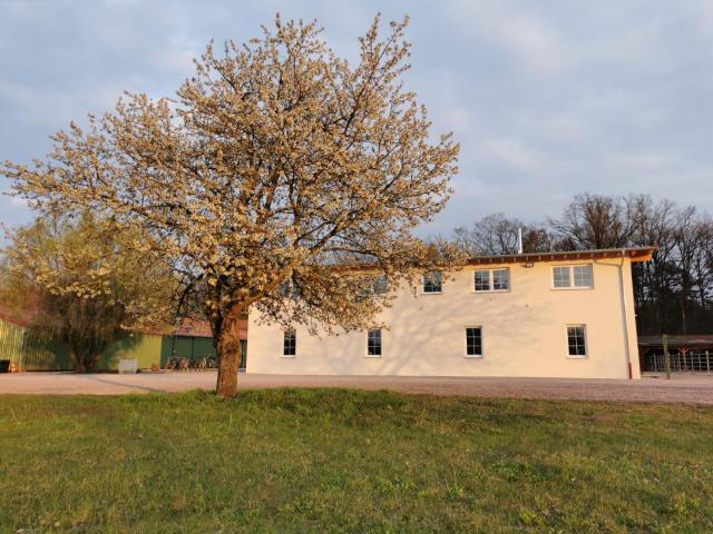 Ferienwohnung Gestüt von Erden