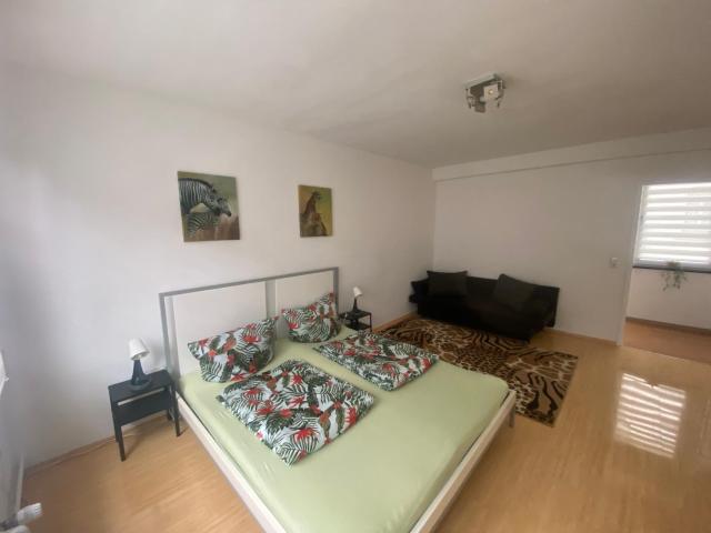 Chic & Trendy Mainz Apartment near cetral station