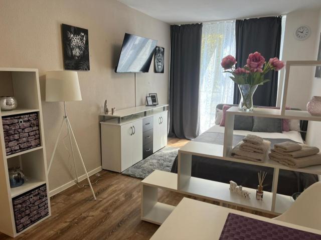 Business Appartement in Mainz Bretzenheim