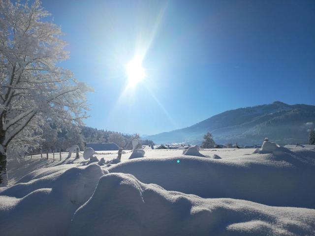 Top! Wohnung direkt am Fuß der Berge im Oberallgäu