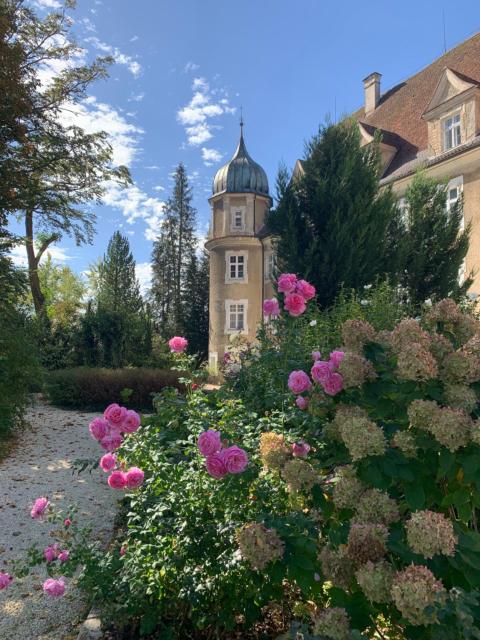 Schloß Hürbel Rosengarten - Suite