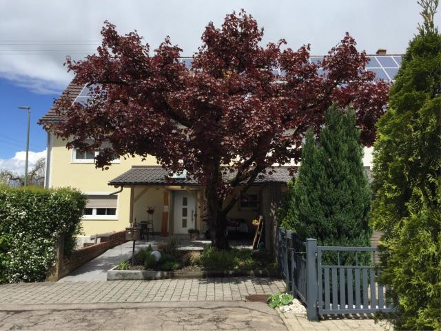 Apartmentvermietung Ingrid Bolkart - Kirchblick 1