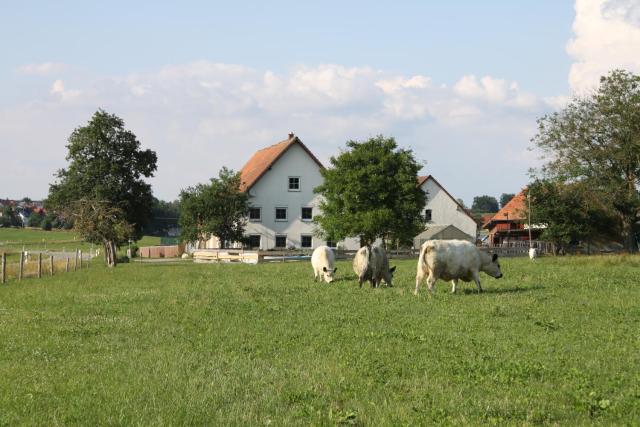 Ferienwohnung auf dem Traubshof