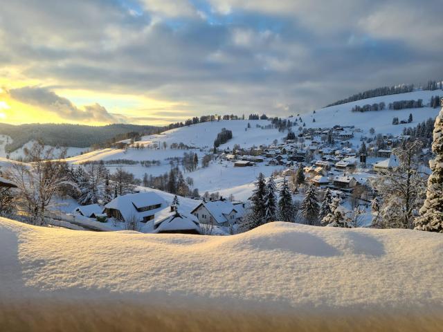 NATURVERLIEBT by Schwarzwaldquartier zu Fuß zu Skilift und Loipe Sauna im Haus Spielzimmer Tiefgarage