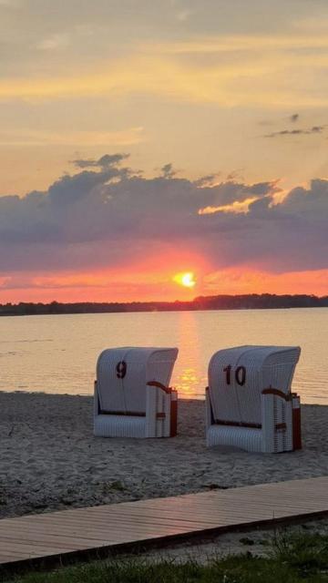 Krähennest am Strand - ABC52