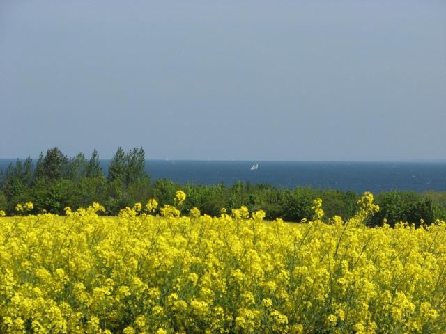 Ostseeblick - ABC60