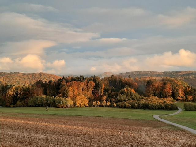 Hochsalerblick