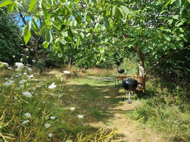 Naturnahes Wohnen in einem alten Haus mit Garten