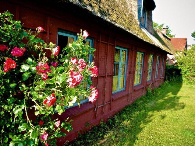 Landwohnung in Nieby 300m von der Ostsee entfernt!