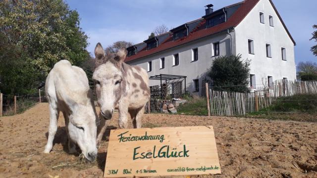 FeWo EselGlück Wälder Berge Seen Ruhe Naturidylle zw Bautzen Zittau Görlitz - Oberlausitz