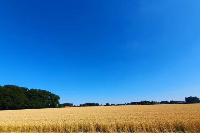 Ferienwohnung mitten in der Natur