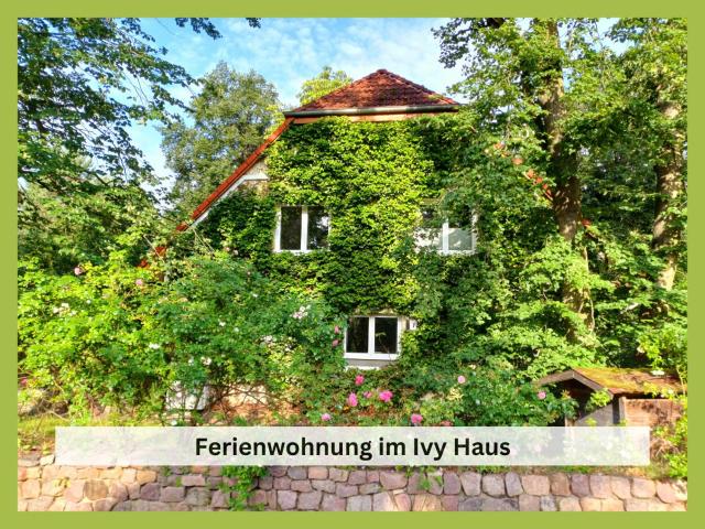 Ivy Haus