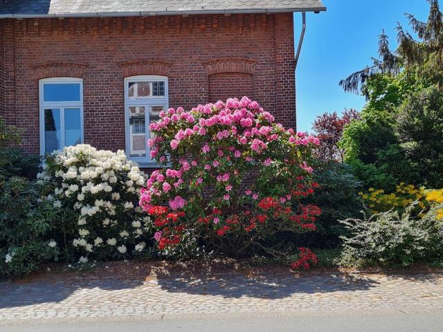 Ferienwohnung Annegret Schuback