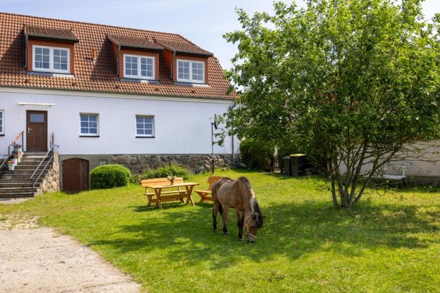 Ferienwohnung "FLORI's PONYHOF"