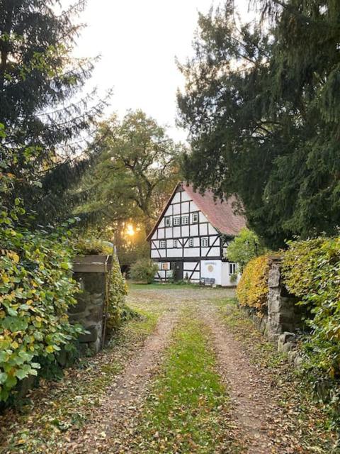 Wassermühle Triglitz surrounded by nature