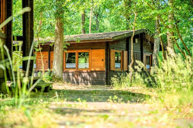 Waldhaus Molzen - Natur erleben