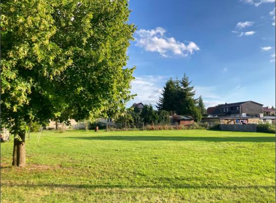 Grünes Fleckchen an der Straße der Romanik