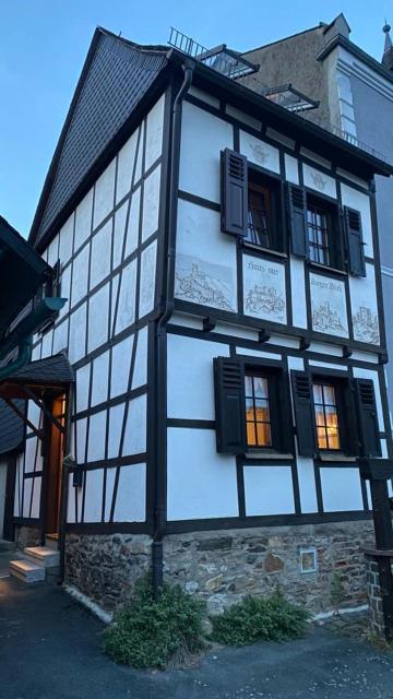 Haus Vier Burgen Blick - Views onto Father Rhine