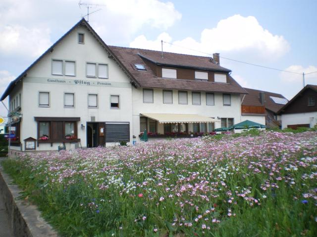 Gasthaus Pflug