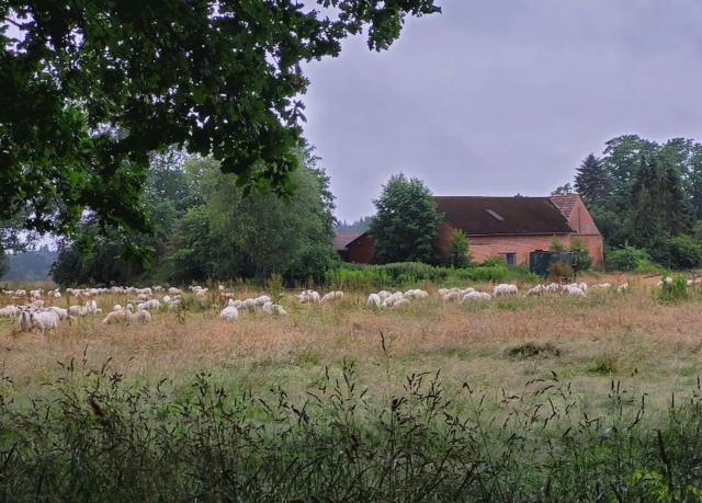 Wunschhof the dreaming farmhouse