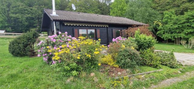 Blockhaus am Waldrand