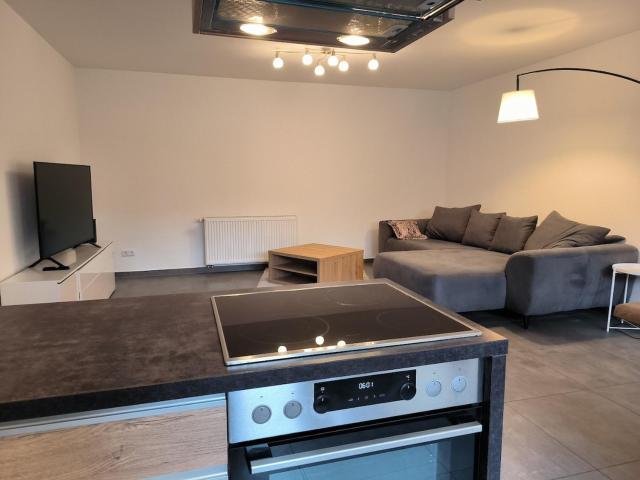 Ground floor 1BR apt w patio, 5 min to RAB