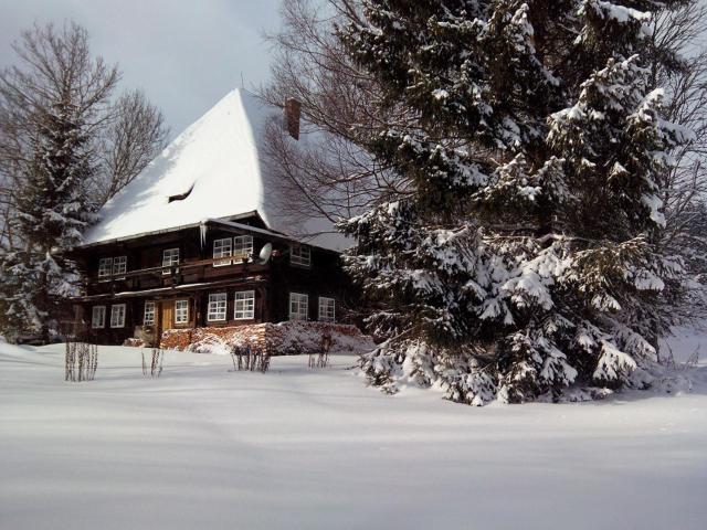 Romantisches Schwarzwälder Bauernhäuschen Hüsli am Griesbachhof