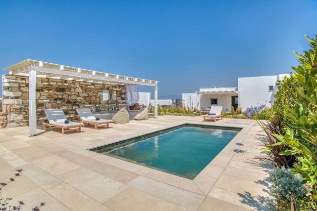 Villamar - Private villa with pool in Naoussa