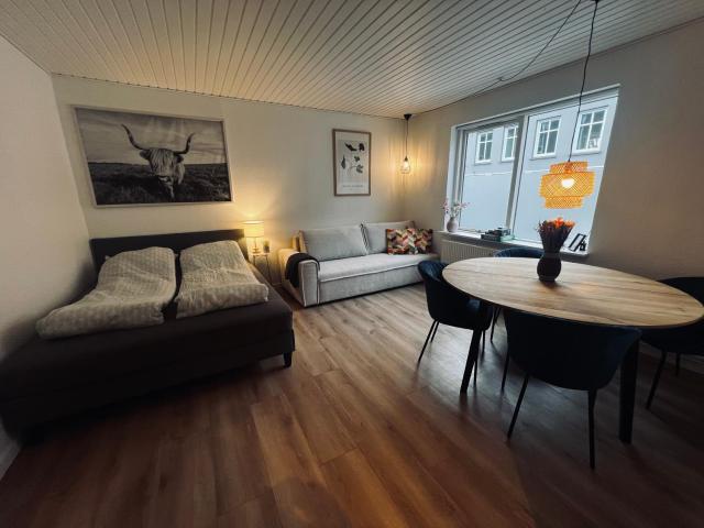 Cozy Flats Silkeborg - S2