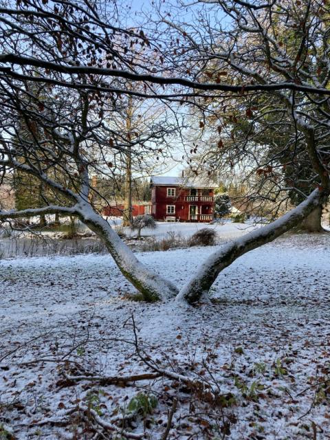 Jul i Skovhuset