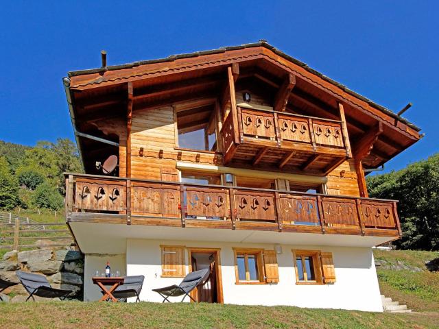 Beautiful chalet in the ski resort Quatre Vallées