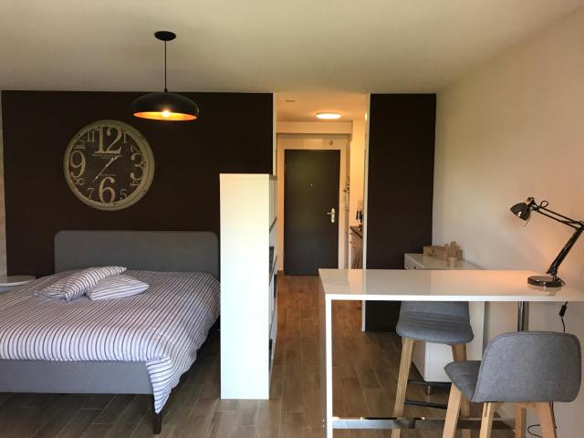 Large Studio Near Epfl And Lausanne City Center