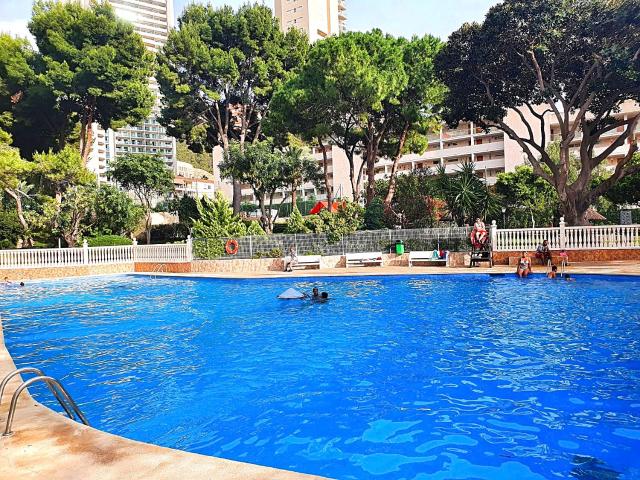 Apartamento un dormitorio en Benidorm