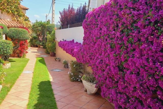 Casa con jardín en Roda de Bará