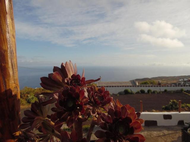 Apartamento con vistas (La Casita de Luísa)