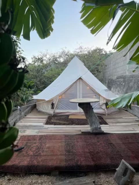 Yurt in Avocado garden