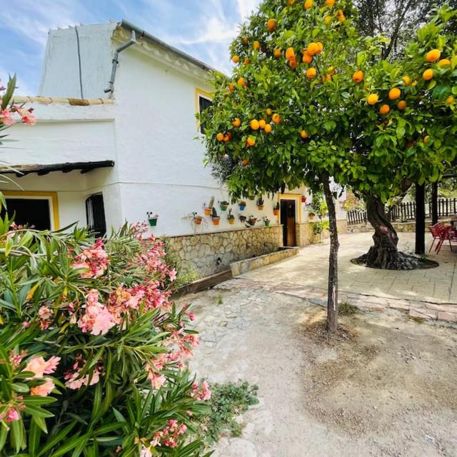 Casa Rural Privada Belén