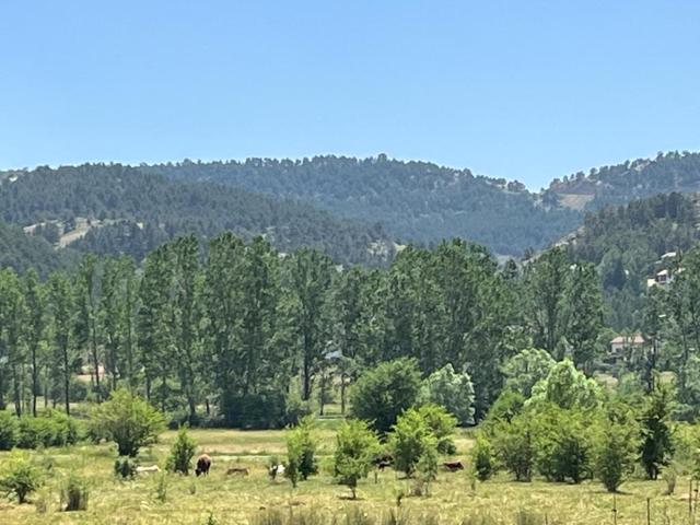 Esqui o Naturaleza en verano por la Virgen de la Vega Alcala de la Selva Valdelinares