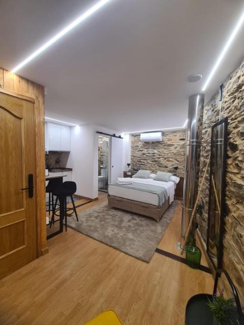 Apartamento - estudio OCARALLO29